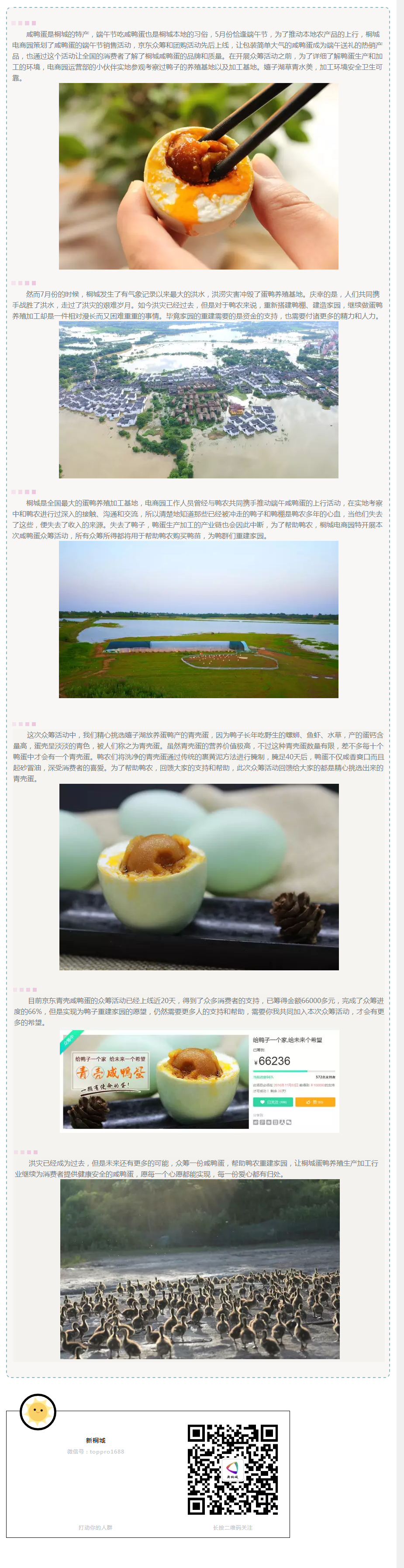 給鴨子一個家，給未來一個希望